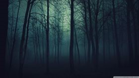 dark-forest